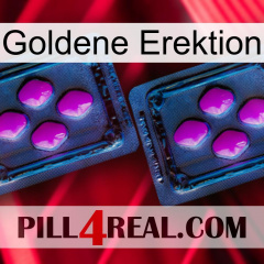 Golden Erection 03